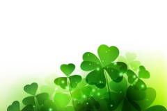 shamrock